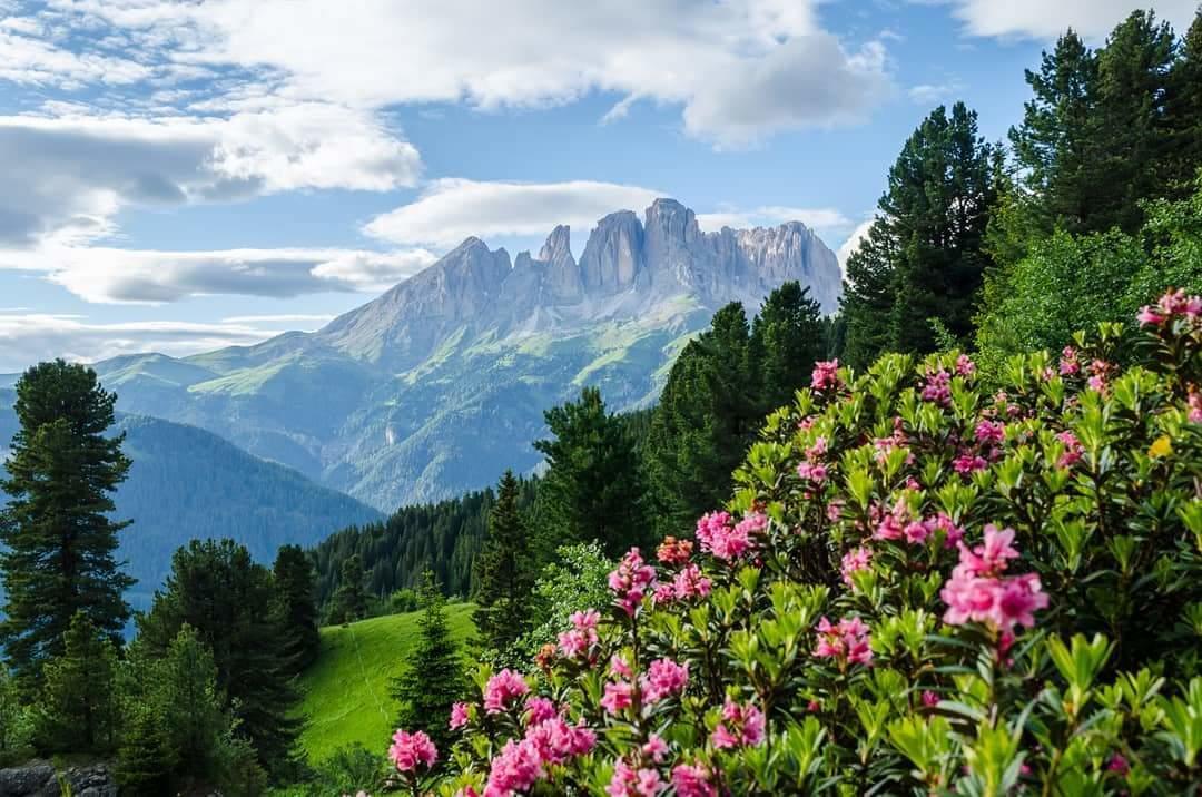 Hotel Majon De La Nona Pozza di Fassa Zewnętrze zdjęcie